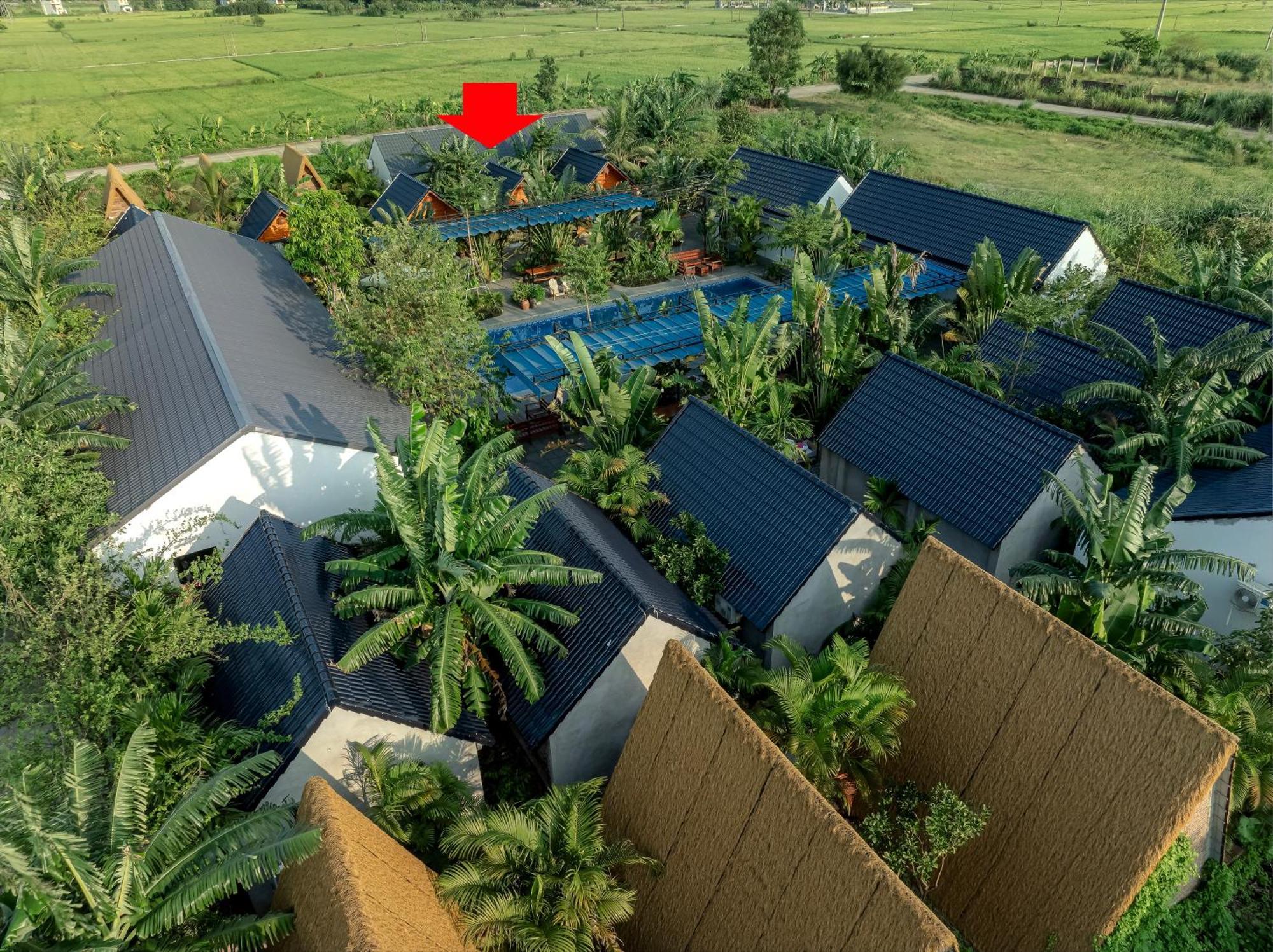 Tam Coc Forest Banana Retreat & Spa Ninh Bình Ngoại thất bức ảnh